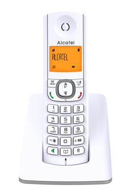 Draadloze telefoon Alcatel F530SG Grijs Wit/Grijs