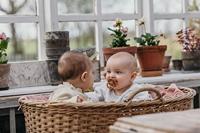 Bibs Fopspeen 0-6 Maanden Symmetrical Vanilla/Pine - thumbnail