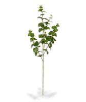 Eucalyptus kunsttak 100 cm - thumbnail