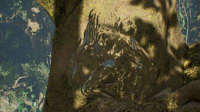 Predator Hunting Grounds