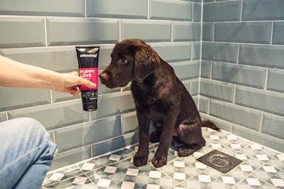 Animology Puppy Love Puppy Shampoo 250 ml