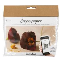 Creativ Company Mini hobbyset crepepapier klaprozen - thumbnail