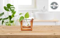 Houten stekjesvaas - 1 glaasje - thumbnail