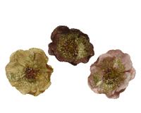 Roos pes fluweel clip d11h4 cm a3 kerstversiering Decoris - Decoris - thumbnail