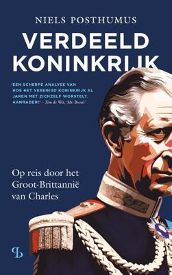 Verdeeld Koninkrijk - Niels Posthumus - ebook