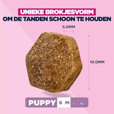 EUKANUBA Puppy Small/Medium Lamb & Rice - droog hondenvoer - 3kg