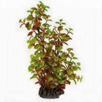 Superfish Art Plant Rotala 25cm - Onderhoudsvrije Aquarium Kunstplant, Veilig & Realistisch - thumbnail