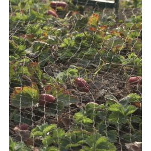 Tuinnet mono groen maaswijdte 6x6mm 7,5 g/m2 8x8m Nature - Nature