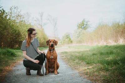 HUNTER Hondenhalsband Wolmar, zwart/grijs, Maat: 55