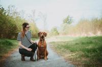 HUNTER Traploos verstelbare hondenlijn Wolmar, zwart/grijs - thumbnail