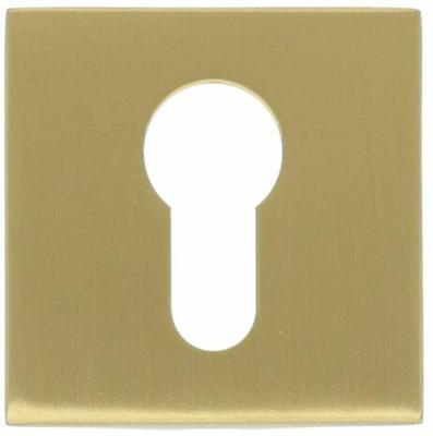 Formani BSQY53 BASICS cilinderplaatje pvd mat goud