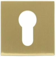 Formani BSQY53 BASICS cilinderplaatje pvd mat goud - thumbnail