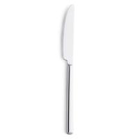 Messen Set Amefa Metropole Metaal 21 cm 12 Stuks - thumbnail
