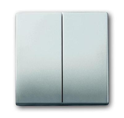 Busch-Jaeger 2CKA001751A2962 Serietoets Afdekking RVS 1 stuk(s)