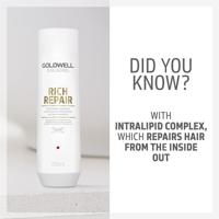 Goldwell Dualsenses Rich Repair Restoring Shampoo 250ml - thumbnail