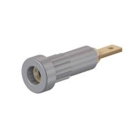 Stäubli EB2 Laboratoriumbus Bus, inbouw verticaal Stift-Ø: 2 mm Grijs 1 stuk(s) - thumbnail