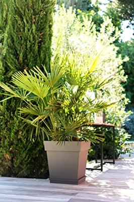 Vaso quadrato EDA Tuscany - 50 cm - 87 L - Tortora