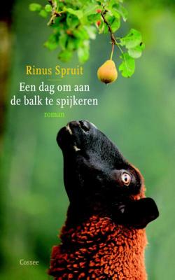 Een dag om aan de balk te spijkeren (Paperback)