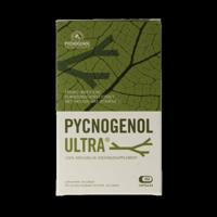 Marma Pycnogenol ultra 90 Capsules - thumbnail