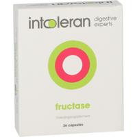Intoleran Fructase 36 Capsules - thumbnail