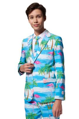 Opposuits TEEN BOYS Flaminguy