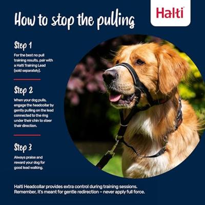 Trainingshalsbanden voor honden Company of Animals Halti Muilkorf (31-40 cm) Trainingshalsbanden voor honden Company of Animals Halti Muilkorf (31-40 cm)