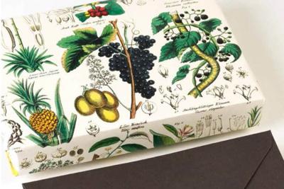 Flora (Paperback)