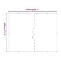 Doorzichtig zeildoek met zeilringen 4x6 m polyethyleen - thumbnail