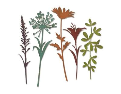 Sizzix • tim holtz thinlits die set wildflower stems #2 5pcs