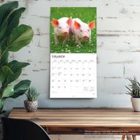Varken Kalender 2026 - thumbnail