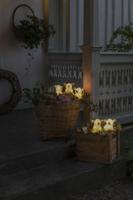 Lichtsnoer LED 5 varkentjes Konstsmide - Konstsmide - thumbnail