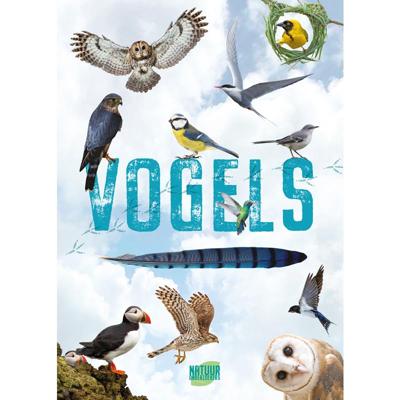 Rebo Publishers Vogels - gids en natuurdagboek voor kinderen