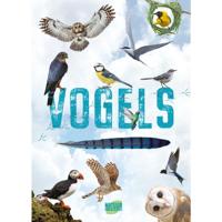 Rebo Publishers Vogels - gids en natuurdagboek voor kinderen - thumbnail