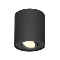 Ronde LED Opbouwspot Ray - 4 Watt 345 lumen - 2700K warm wit - Kantelbaar - GU10 - Opbouwspot - IP20 Voor binnen - Zwart - Dimbaar - thumbnail