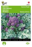 Broccoli Summer Purple - thumbnail