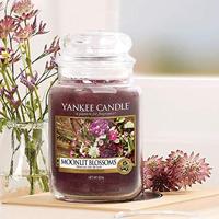 Yankee Candle 1610856E kaars Rond Roze 1 stuk(s) - thumbnail