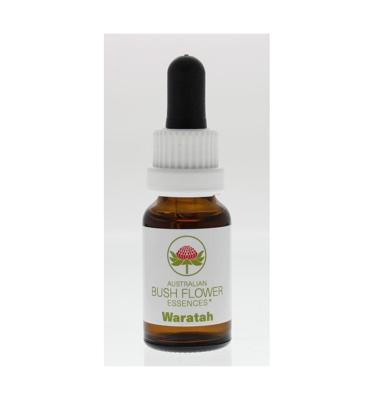 Australian Bush Waratah 15 Milliliter