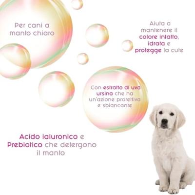 Dierenshampoo Inodorina 250 ml Dierenshampoo Inodorina 250 ml