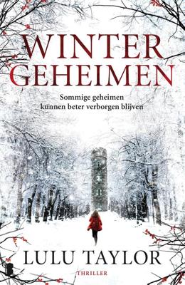 Wintergeheimen - Lulu Taylor - ebook