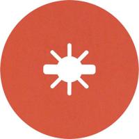 Bosch Accessories 2608621825 Fiberschijf Diameter 125 mm Korrelgrootte (num)=60 25 stuk(s) - thumbnail