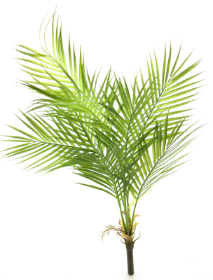 Areca palm green 91cm