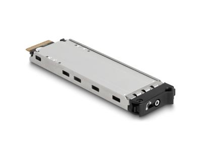 Delock 47126 HDD-wisselframe M.2, SAS