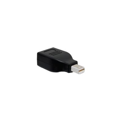 DeLOCK Adapter Mini-DisplayPort > DisplayPort