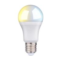 Smart Gloeilamp Alpina RGB Wi-Fi 9 W E27 2700-6500 K 806 lm - thumbnail