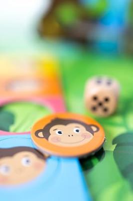 Wins Holland Bordspel eenhoorn