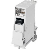 Telegärtner 100007436 Draagrailconnector RJ45 Bus, inbouw Aantal polen: 8P8C Lichtgrijs 1 stuk(s)