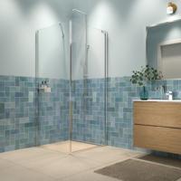 Sealskin Draaideur en Zijwand Inc. met douchemand en helder veiligheidsglas met antikalklaag 100x100x200 cm Zilver - thumbnail