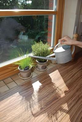 Gieter binnenshuis / Esschert Design Gieter binnenshuis / Esschert Design