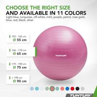 Fitnessbal Anti-Burst 65cm Purple - thumbnail