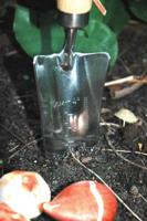 Verplantschopje rvs / Esschert Design - thumbnail